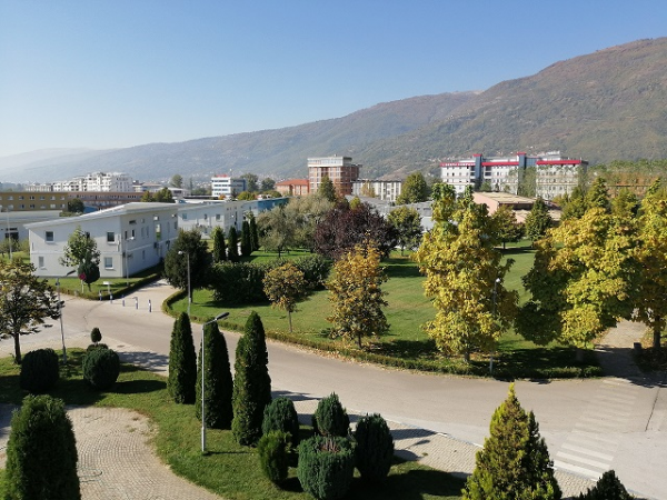 South East European University